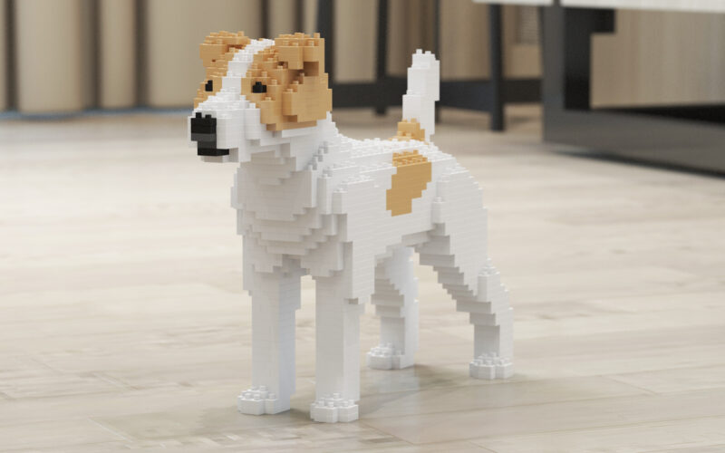 Jack Russell Teriér - Image 6