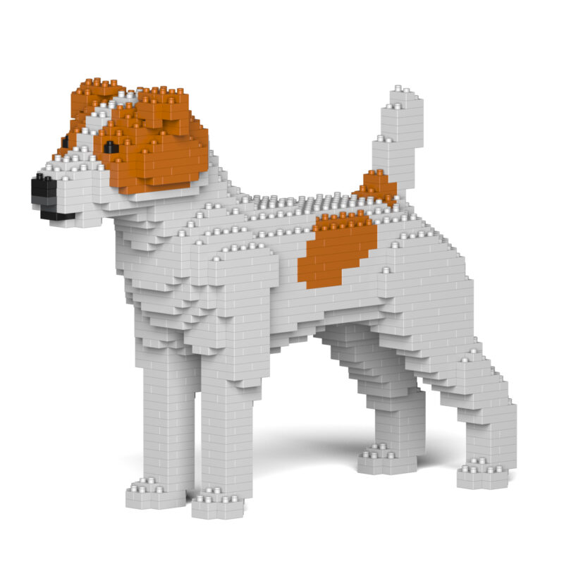 Jack Russell Teriér - Image 2