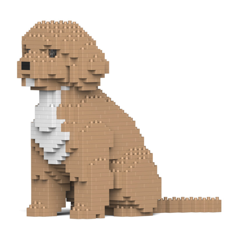 Cockapoo - Image 2