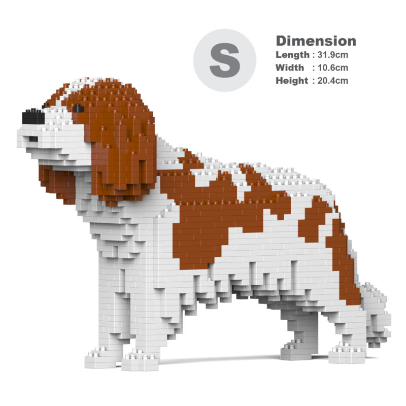 Cavalier King Charles Španiel (Blenheim) - Image 4