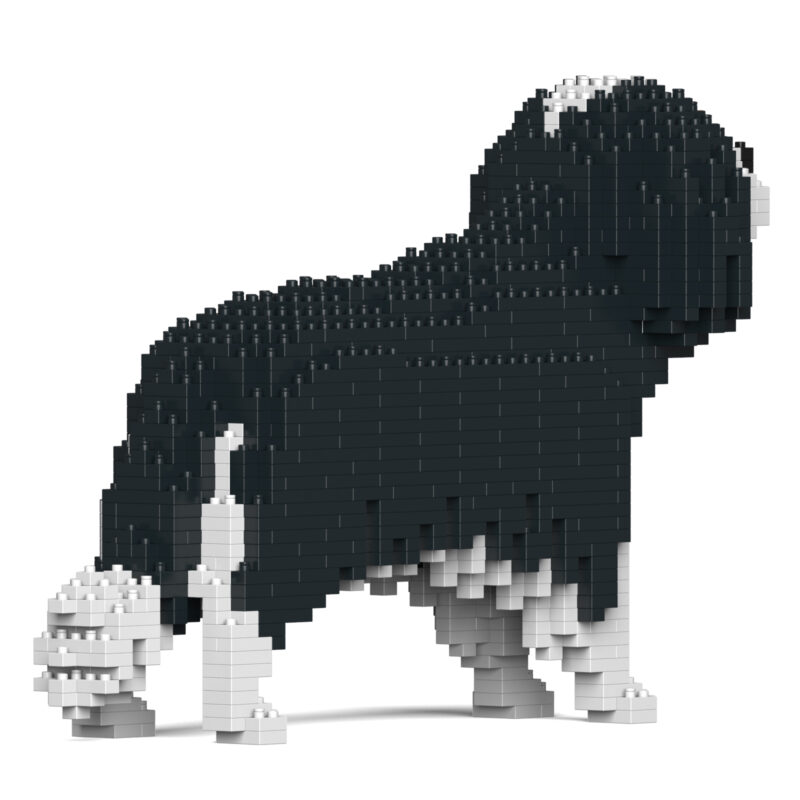 Cavalier King Charles Španiel (tricolor) - Image 3